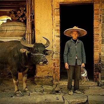  Portraits of the Hakka（単行本） Amazon.co.jp: HOME Portraits of the Hakka : 中村治: Japanese